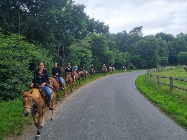  Randonnée à cheval au bord de la roule 