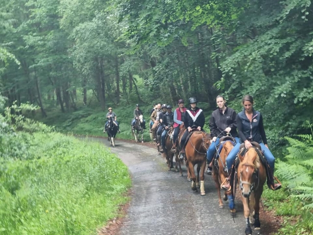 Pbaños a caballo por los senderos del bosque en Normandía 