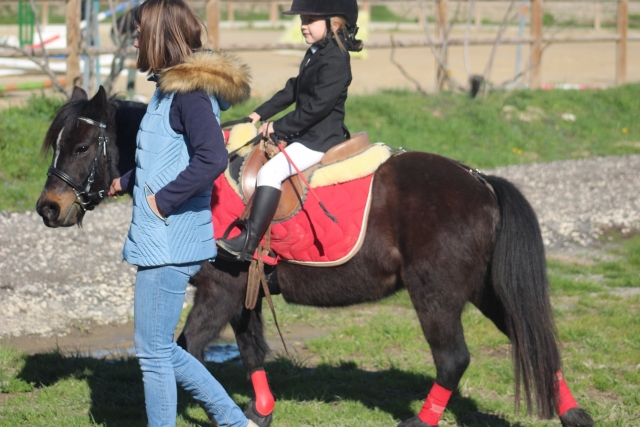 Paseo en pony cerca de Aviñón