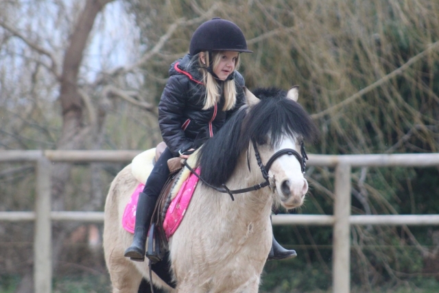Un participanle en un pony.