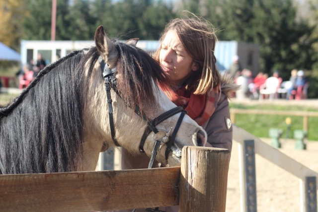 Cuidando los caballos