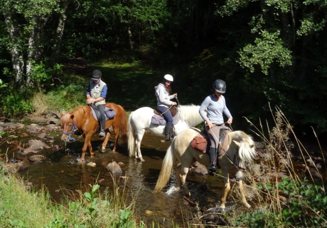 Una experiencia a caballo inolvidable 