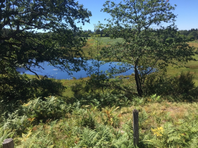 Panorama de la naturaleza de Tauves 