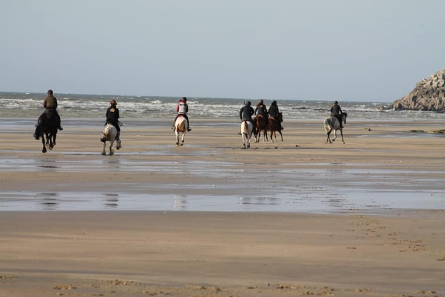  Las playas de Normandía a caballo 