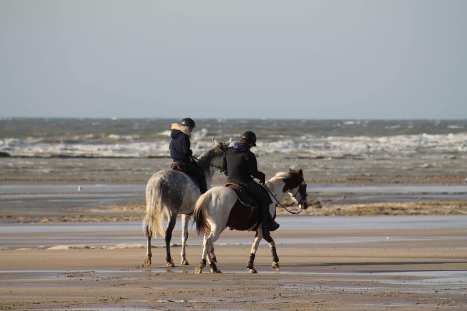  Momento de evasión a caballo 