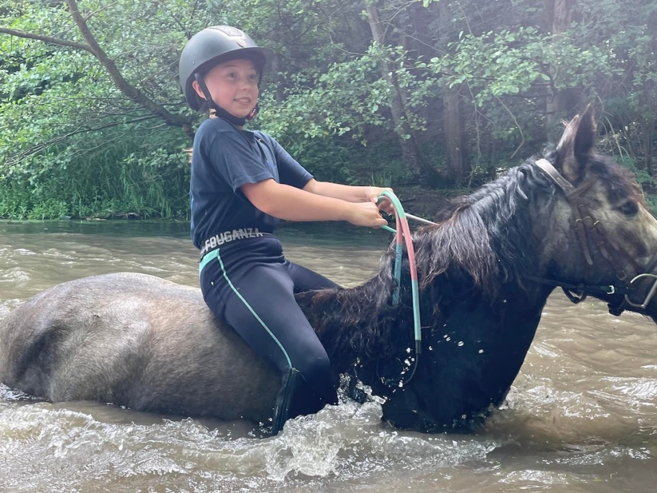 Para cruzar el río, sube el caballo con cuidado. Para cruzar el río, sube el caballo con cuidado.