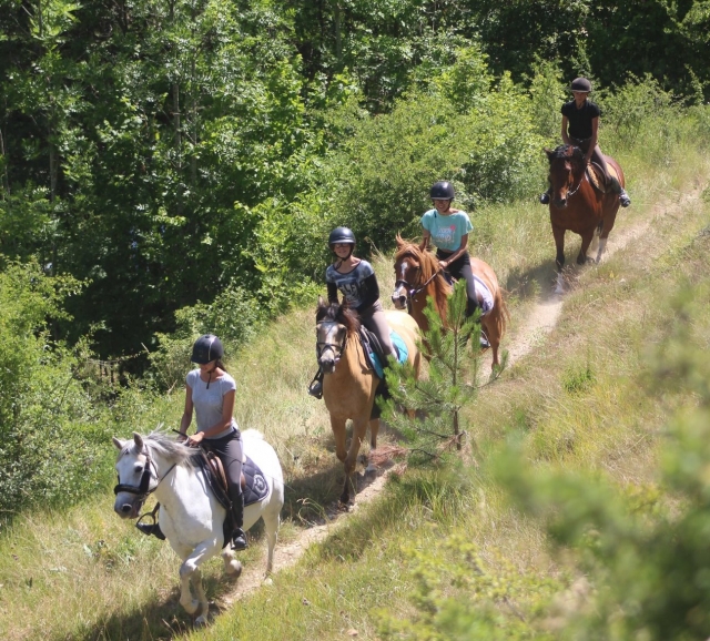 Paseo en pony en Châteaurenard