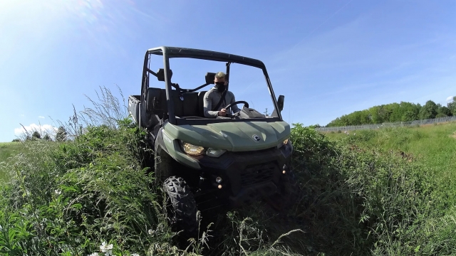  Descubrimiento de los campos en Buggy. 