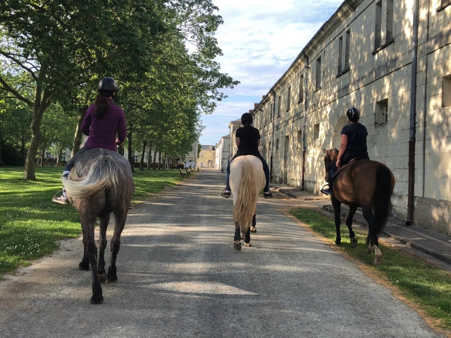  Descubrimiento de la ciudad de Roiffe a caballo 