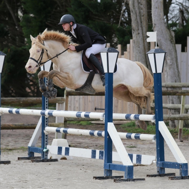 Nuestro centro ecuestre. 
