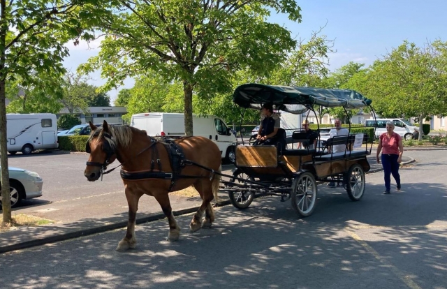 Un magnífico carruaje