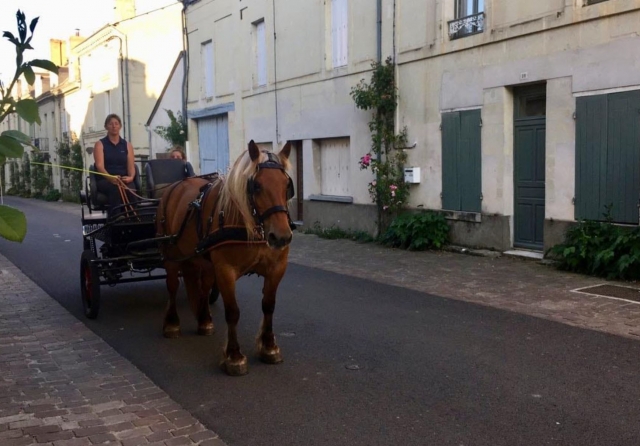 Una experiencia inolvidable