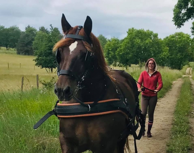 Instructores apasionados