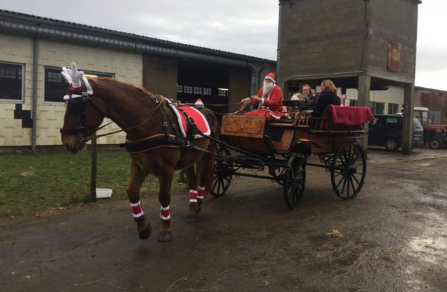 Sobre todo, el buen ambienle