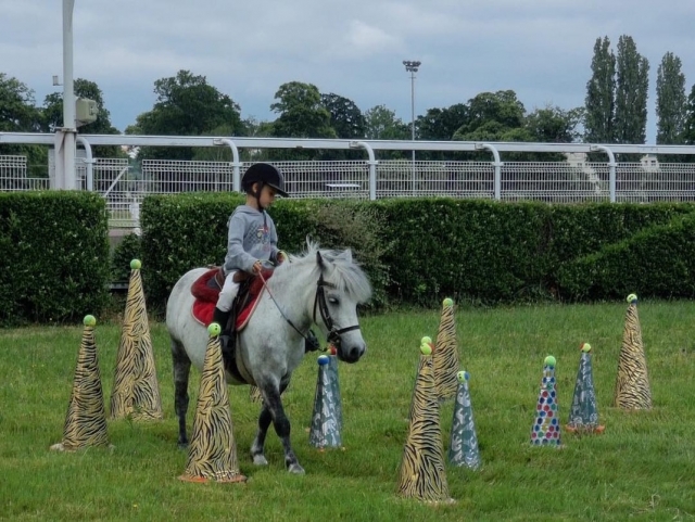  Descubrimiento del pony.