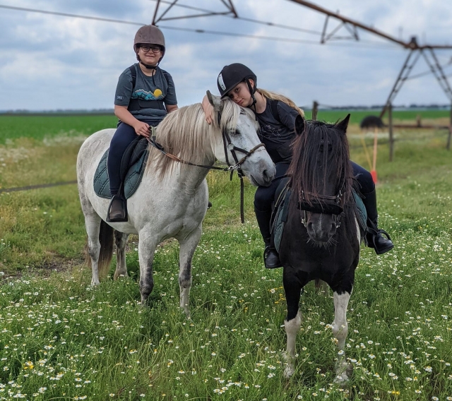  Viva un magnífico momento en familia 