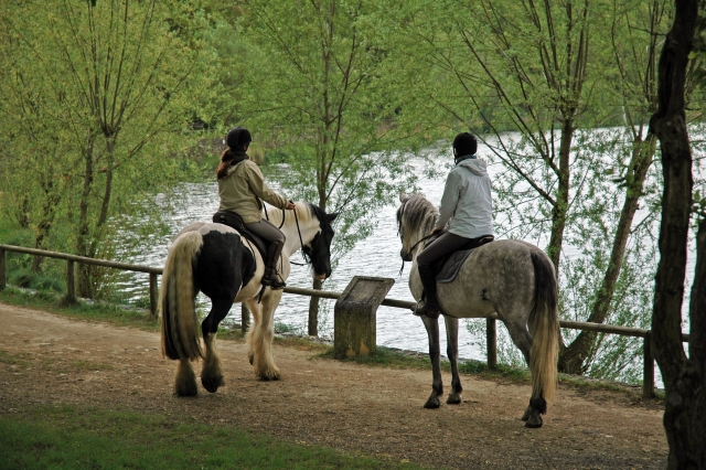 Disfrutar de un paseo por las Landas 