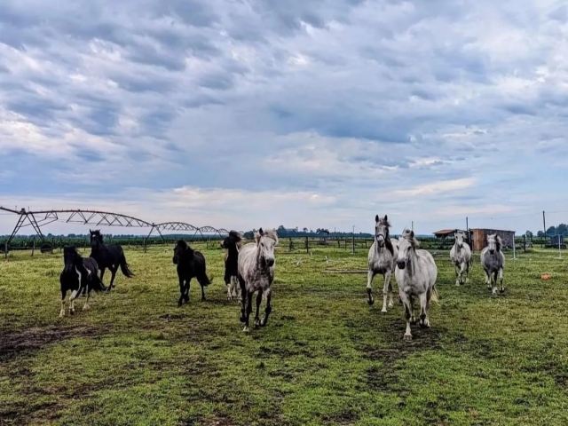  Vive una experiencia impresionanle 