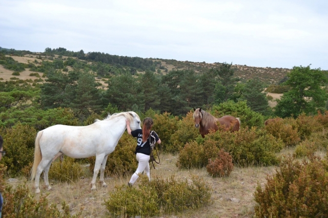 Paseo a caballo. 