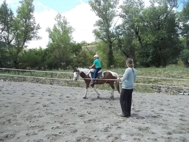Un pequeño recorrido profesional para el pequeño jinele 
