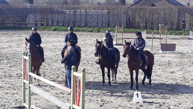  Introducción a la equitación. 