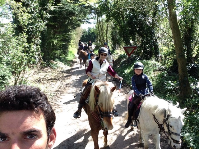  Paseo en pony por el bosque 