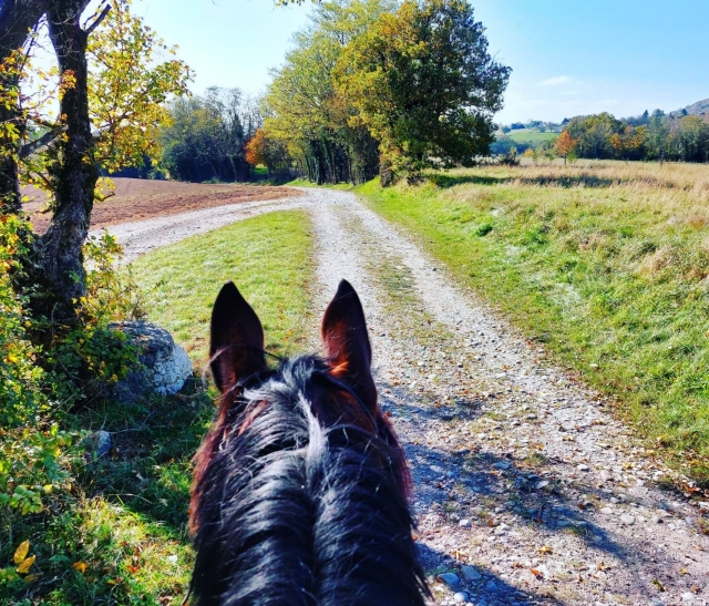  Una sensación de libertad 