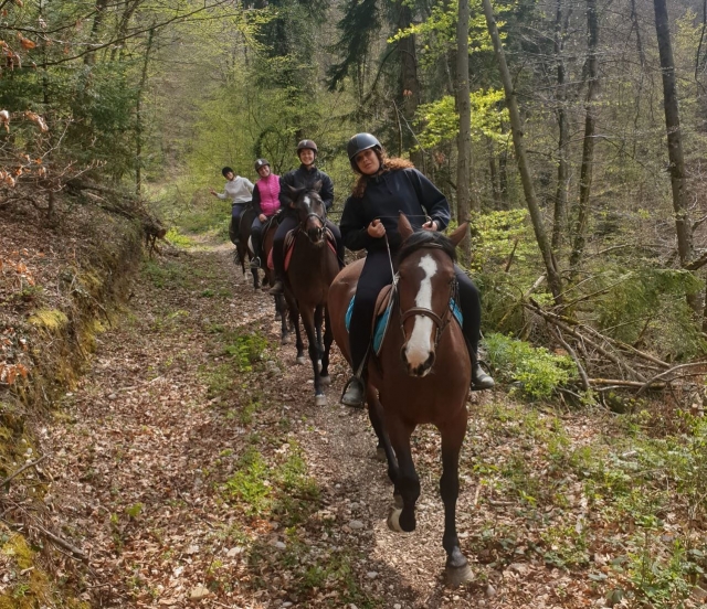  Una actividad para compartir 