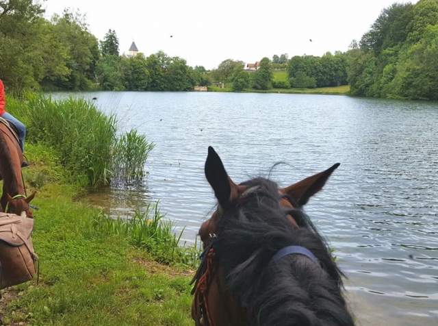  Una experiencia inolvidable 