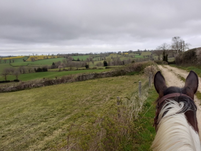 Una experiencia inolvidable 