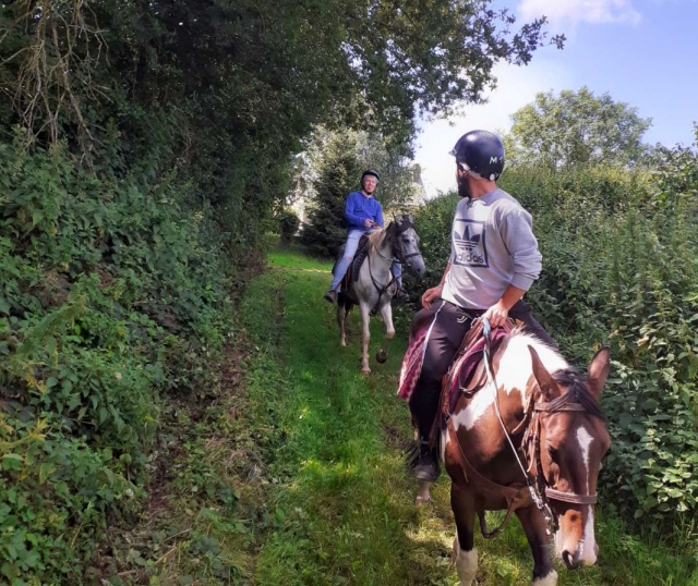  Una actividad para compartir 