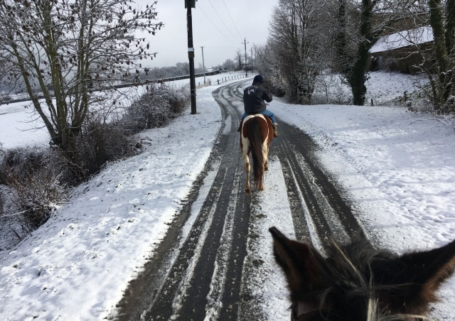 Pbaños a caballo en la nieve 