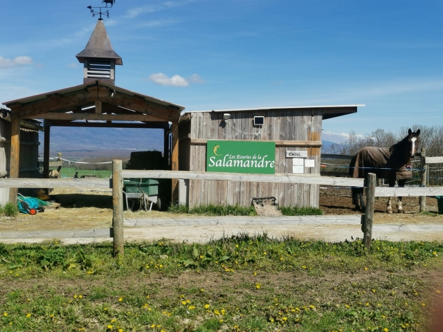 Un centro ecuestre de calidad 