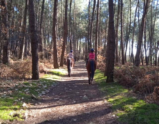  Una actividad en plena naturaleza 