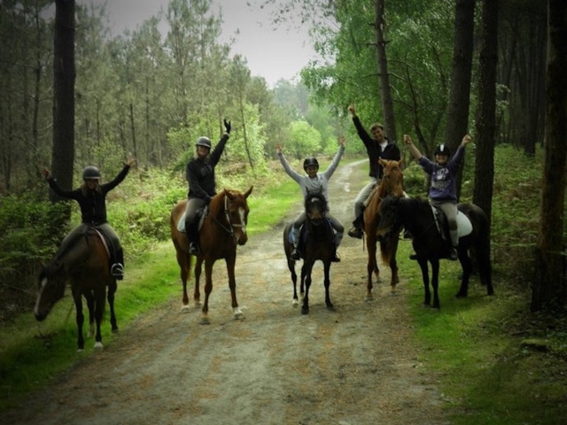  Una actividad pensada para los amantes de la equitación. 