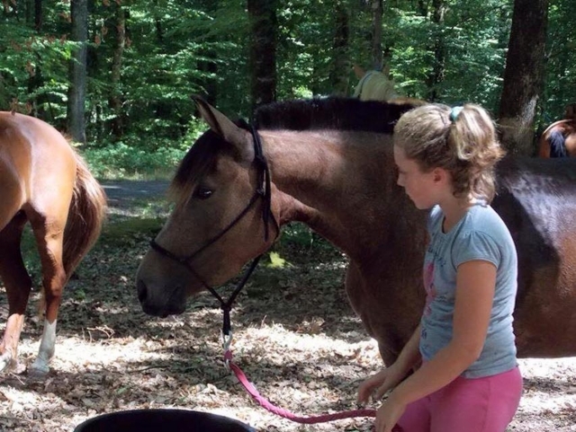  Un instructor con un caballo. 