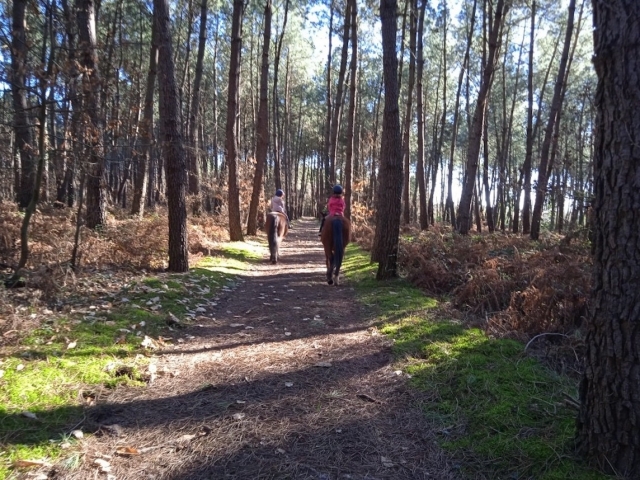  Paseo por el bosque.