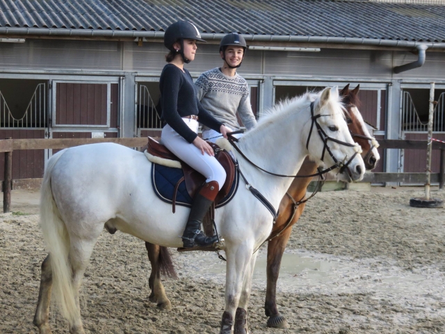  Todo está listo para el paseo a caballo