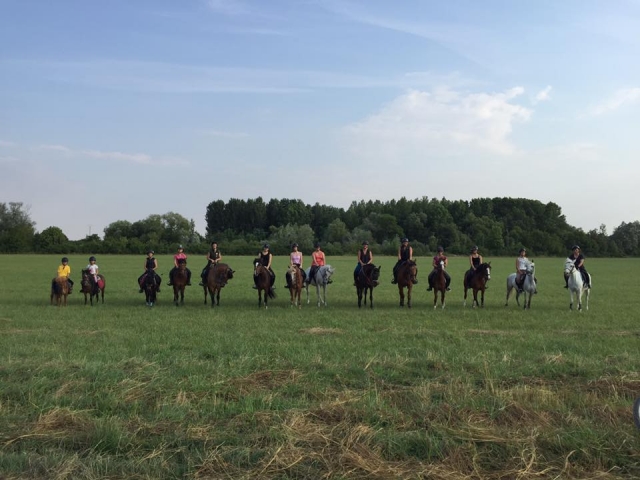 Paseo a caballo en grupo 