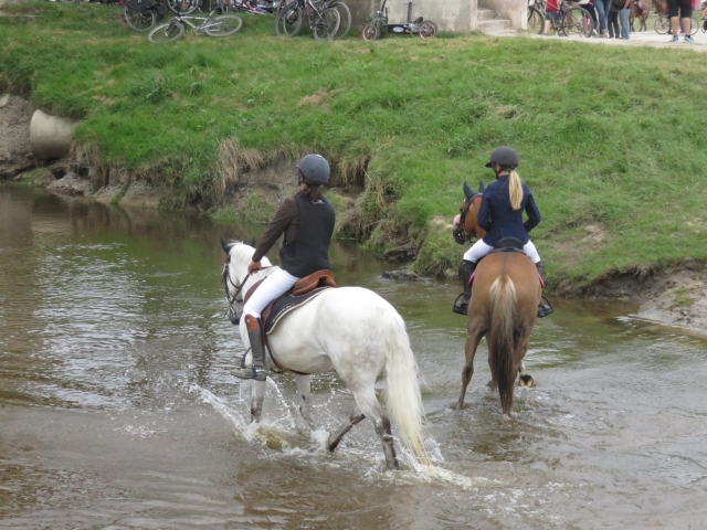  Paseo refrescanle a caballo 