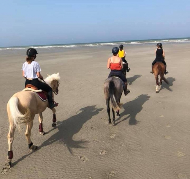  Paseo en pony Shetland cerca de la playa