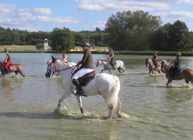  Paseo en pony en grupo cerca de Reims 