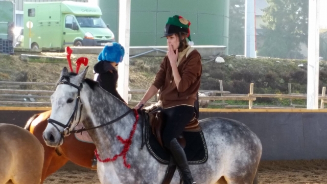  Entrenamiento de caballos 