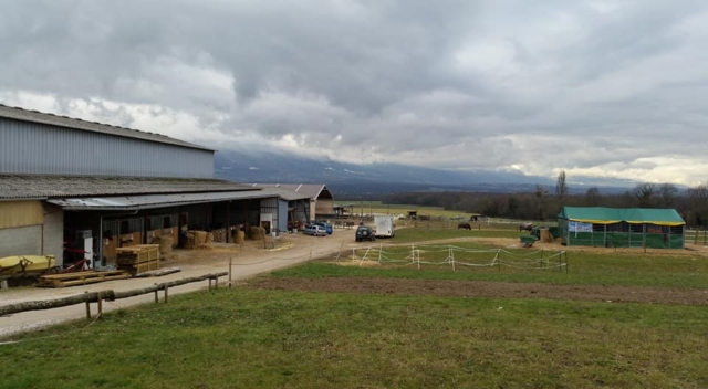  Finca ecuestre cerca de Ginebra 