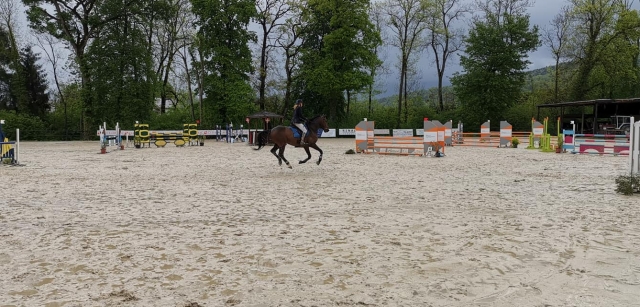  Clases de equitación en Auvernia-Ródano-Alpes 