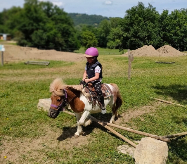  Magníficos ponis