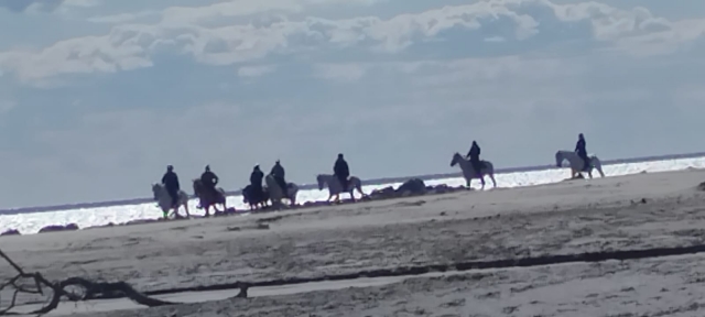 Paseo a caballo en grupo 