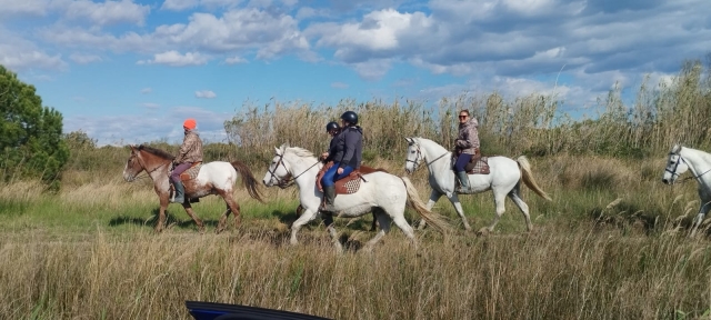  Paseo al final del día