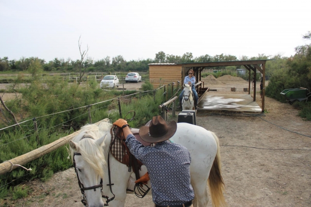  Pbaños a caballo en el corazón de la Camarga 