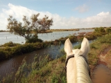 Pbaños a caballo en Saintes Maries de la Mer - 2h